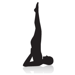 shoulder stand