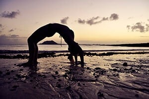 the wheel pose