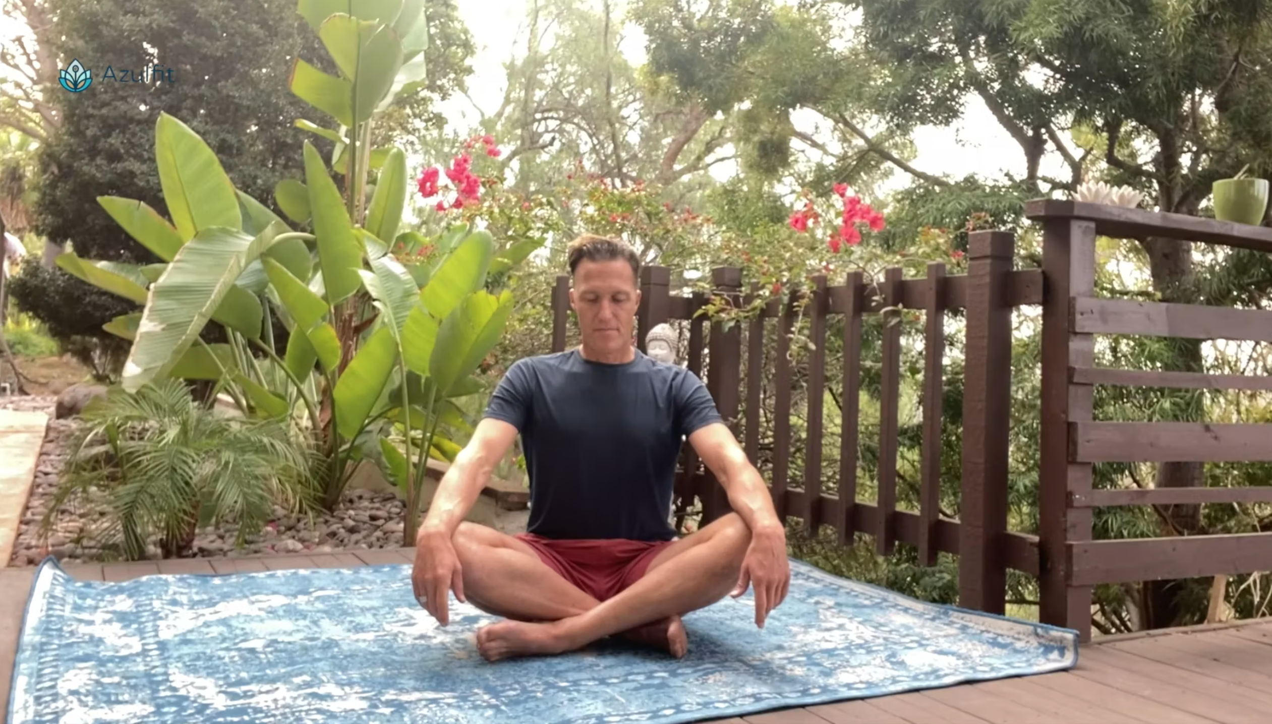 Clarity, Stability & Mobility - All Levels