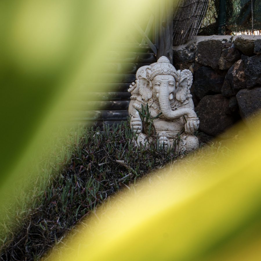 DSC06693 DSC06693
